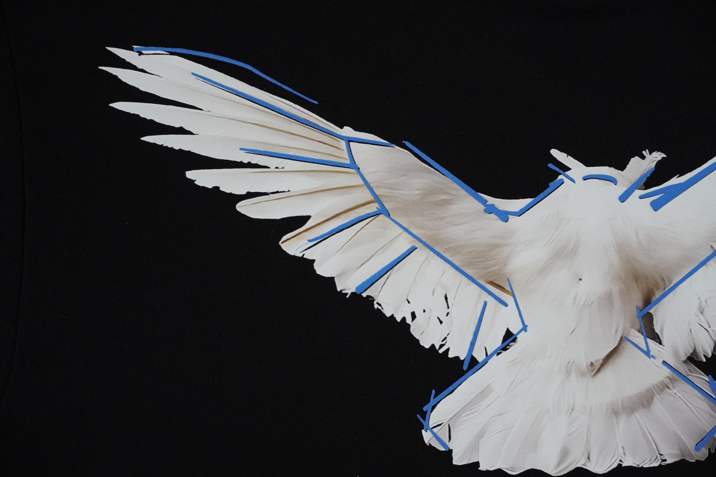 WINGS