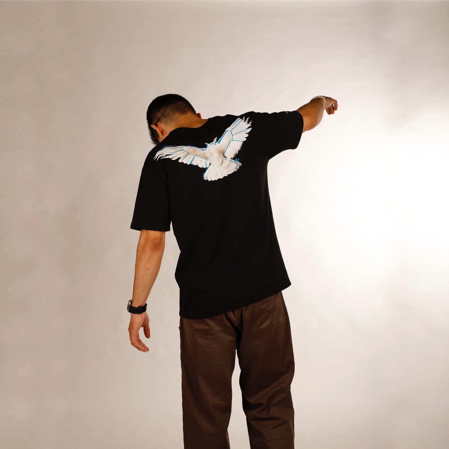 WINGS