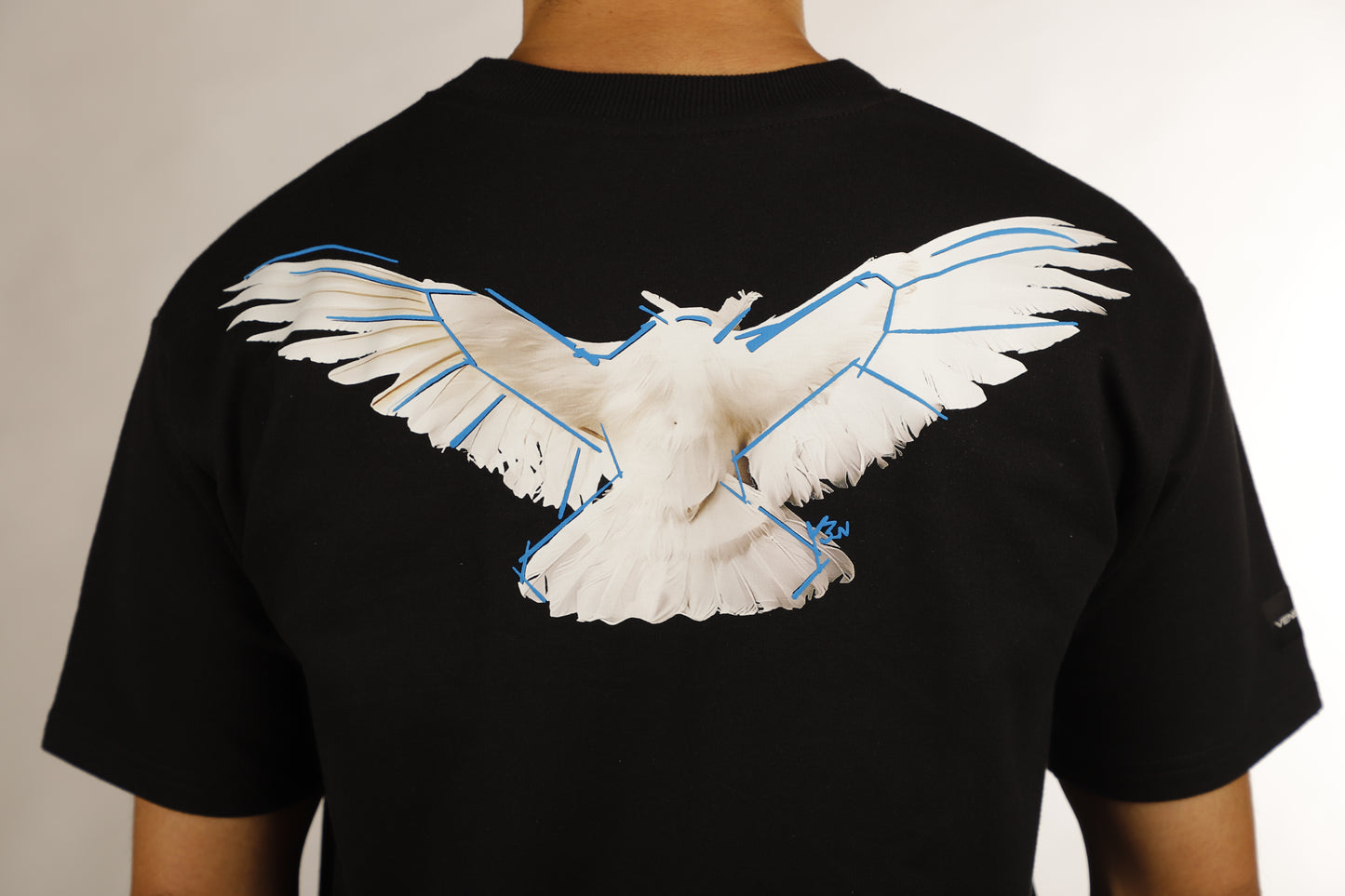 WINGS